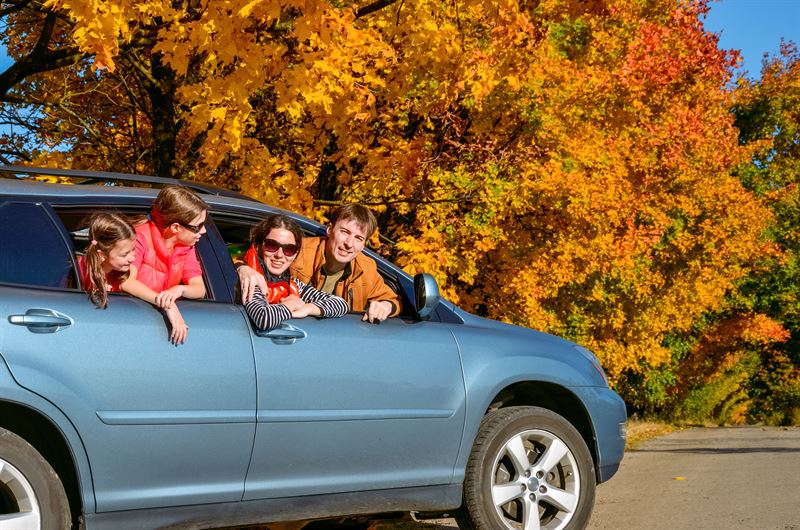 Jak zarezerwować samochód w wypożyczalni?